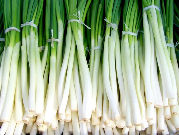 a903ed0784850b43d83b8d461c8eea903ed-2